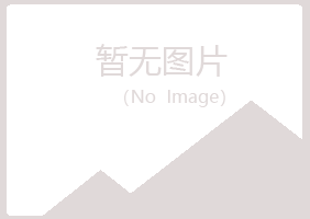 乐山中夏青能源有限公司